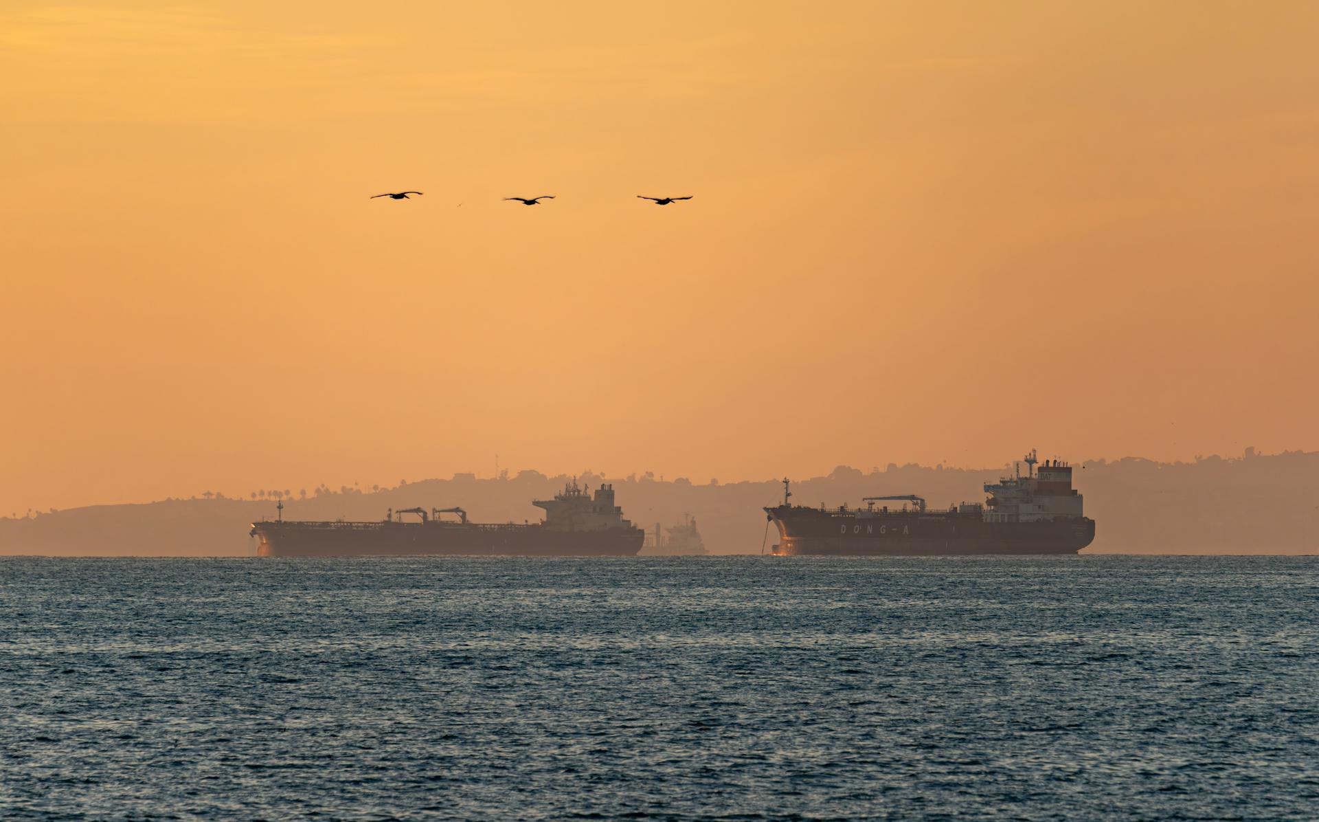 Russia’s Shadow Fleet Didn’t Beat Sanctions. It Didn’t Have To
